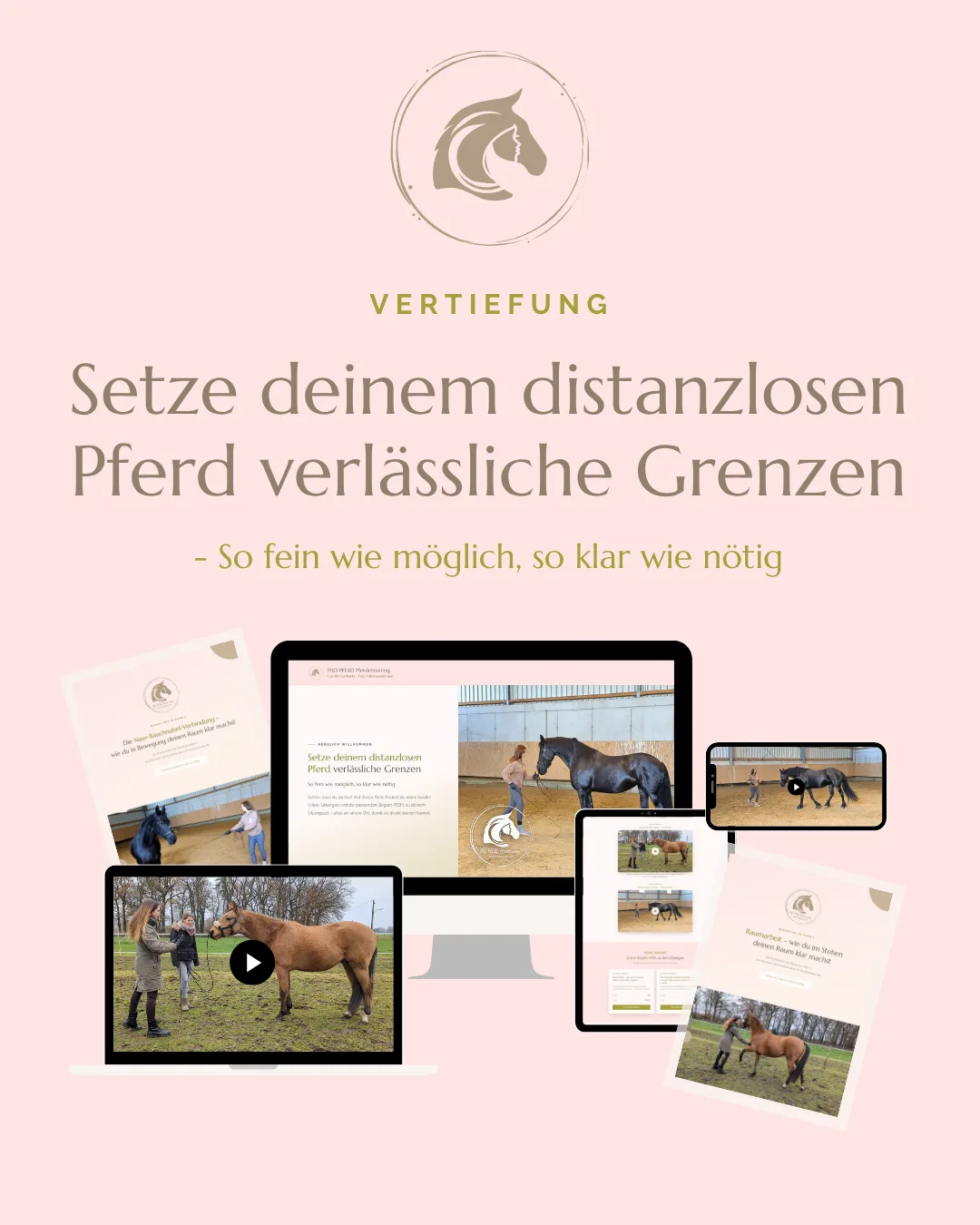 Vorschau von „Setze deinem distanzlosen Pferd verlässliche Grenzen“ auf Laptop, Tablet und Smartphone